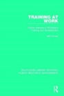 Image for Training at work  : critical analysis of workplace training and development