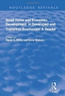 Image for Small Firms and Economic Development in Developed and Transition Economies : A Reader