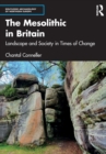 Image for The Mesolithic in Britain  : landscape and society in times of change