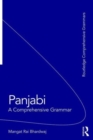Image for Panjabi  : a comprehensive grammar
