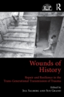 Image for Wounds of history  : repair and resilience in the trans-generational transmission of trauma