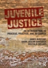 Image for Juvenile justice  : an introduction to process, practice, and research
