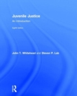 Image for Juvenile justice  : an introduction