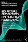 Image for Big Picture Perspectives on Planetary Flourishing