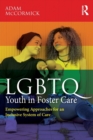 Image for LGBTQ Youth in Foster Care
