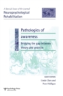 Image for Pathologies of awareness  : bridging the gap between theory and practice