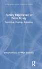 Image for Family Experience of Brain Injury