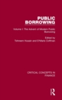 Image for Public Borrowing, vol i