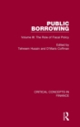 Image for Public Borrowing, vol iii