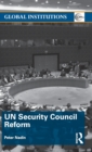 Image for UN Security Council reform