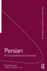Image for Persian  : a comprehensive grammar