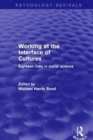 Image for Working at the Interface of Cultures