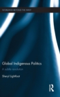 Image for Global indigenous politics  : a subtle revolution