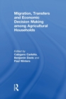 Image for Migration, Transfers and Economic Decision Making among Agricultural Households