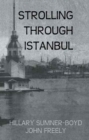 Image for Strolling through Istanbul