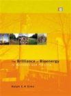 Image for The brilliance of bioenergy  : in business and in practice