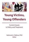 Image for Young Victims, Young Offenders : Current Issues in Policy and Treatment