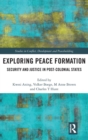 Image for Exploring Peace Formation