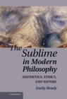 Image for The Sublime in Modern Philosophy: Aesthetics, Ethics, and Nature