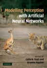 Image for Modelling Perception with Artificial Neural Networks