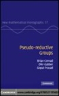 Image for Pseudo-reductive groups [electronic resource] /  Brian Conrad, Ofer Gabber, Gopal Prasad. 