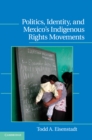 Image for Politics, Identity, and Mexico&#39;s Indigenous Rights Movements