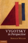 Image for Vygotsky in Perspective