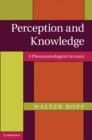 Image for Perception and Knowledge: A Phenomenological Account