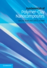 Image for Fundamentals of Polymer-Clay Nanocomposites