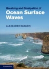 Image for Breaking and dissipation of ocean surface waves [electronic resource] /  Alexander V. Babanin. 