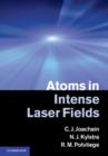 Image for Atoms in intense laser fields