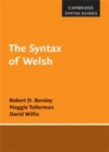Image for The syntax of Welsh [electronic resource] /  Bob Borsley, Maggie Tallerman, David Willis. 