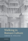 Image for Walking in Roman Culture