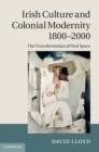 Image for Irish Culture and Colonial Modernity 1800-2000: The Transformation of Oral Space