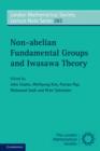 Image for Non-abelian fundamental groups and Iwasawa theory : 393