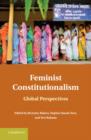 Image for Feminist constitutionalism: global perspectives