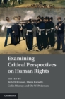 Image for Examining Critical Perspectives on Human Rights