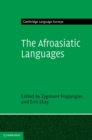 Image for Afroasiatic Languages