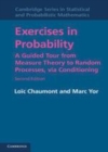 Image for Exercises in probability [electronic resource] :  a guided tour from measure theory to random processes, via conditioning /  Loïc Chaumont, Marc Yor. 