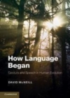 Image for How language began [electronic resource] :  gesture and speech in human evolution /  David McNeill. 