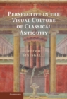 Image for Perspective in the Visual Culture of Classical Antiquity