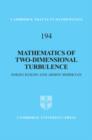 Image for Mathematics of two-dimensional turbulence