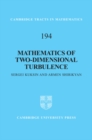 Image for Mathematics of Two-Dimensional Turbulence