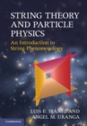 Image for String Theory and Particle Physics: An Introduction to String Phenomenology