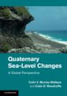 Image for Quaternary sea-level changes: a global perspective