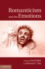 Image for Romanticism and the emotions