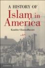 Image for A history of Islam in America: from the new world to the new world order