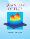 Image for Quantum optics