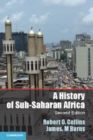Image for A History of Sub-Saharan Africa