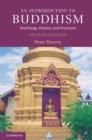 Image for An introduction to Buddhism: teachings, history and practices